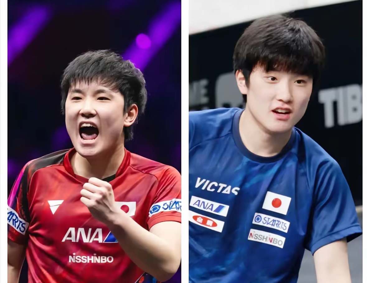 波兰队完胜德国队，张本智和刷新纪录