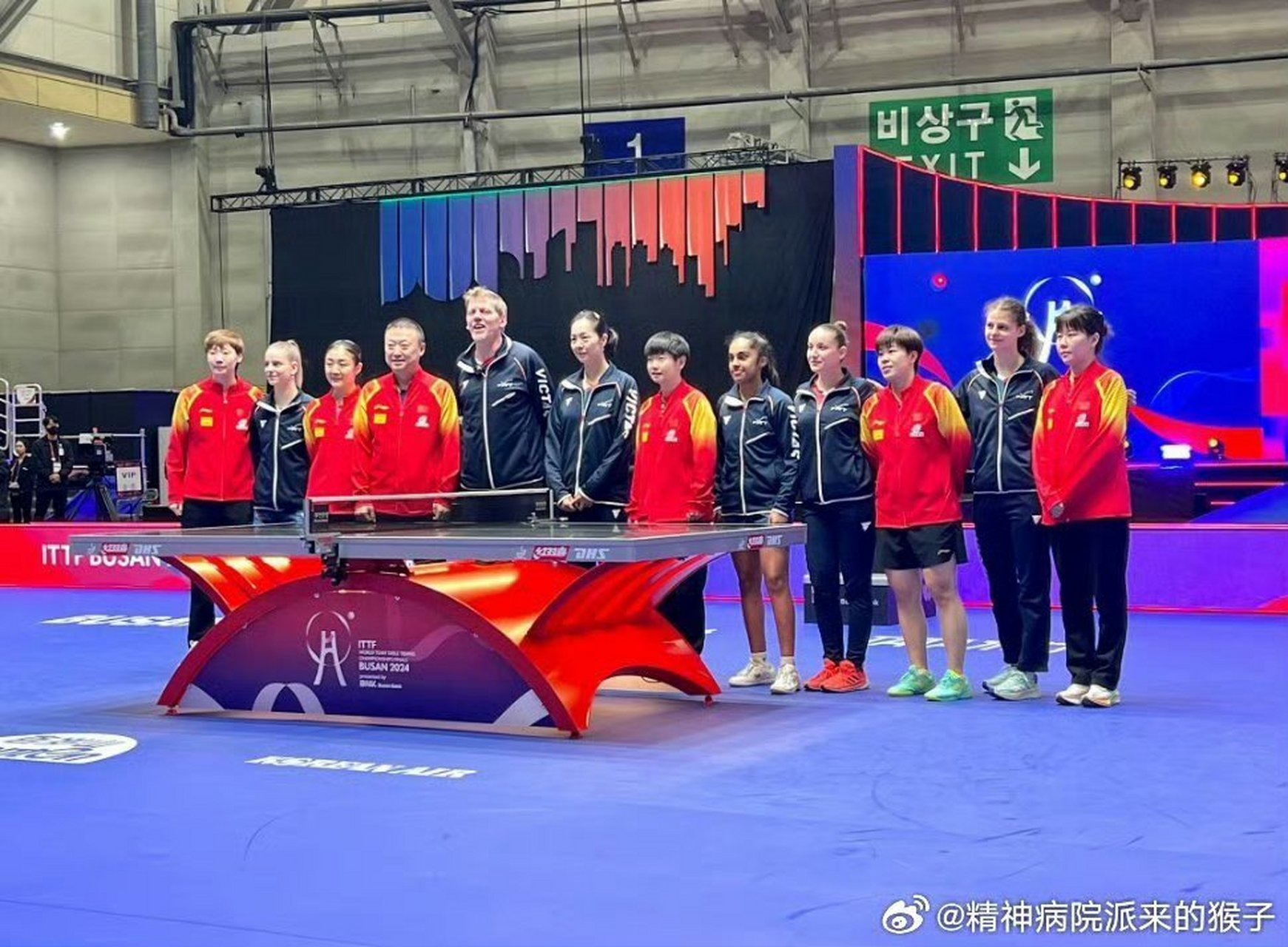 法国队力克韩国队,马琳惊艳四座 法国队力克韩国队,马琳惊艳四座