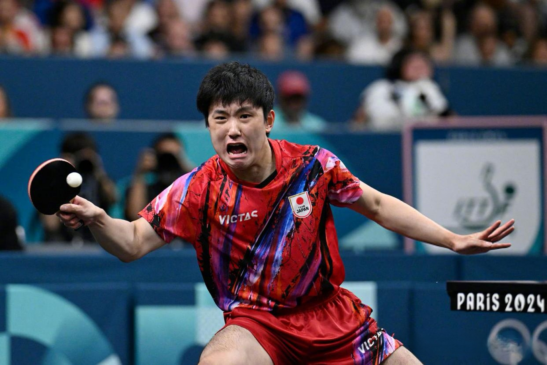 法国队逆转瑞典队,张本智和点燃赛场 法国队逆转瑞典队,张本智和点燃赛场