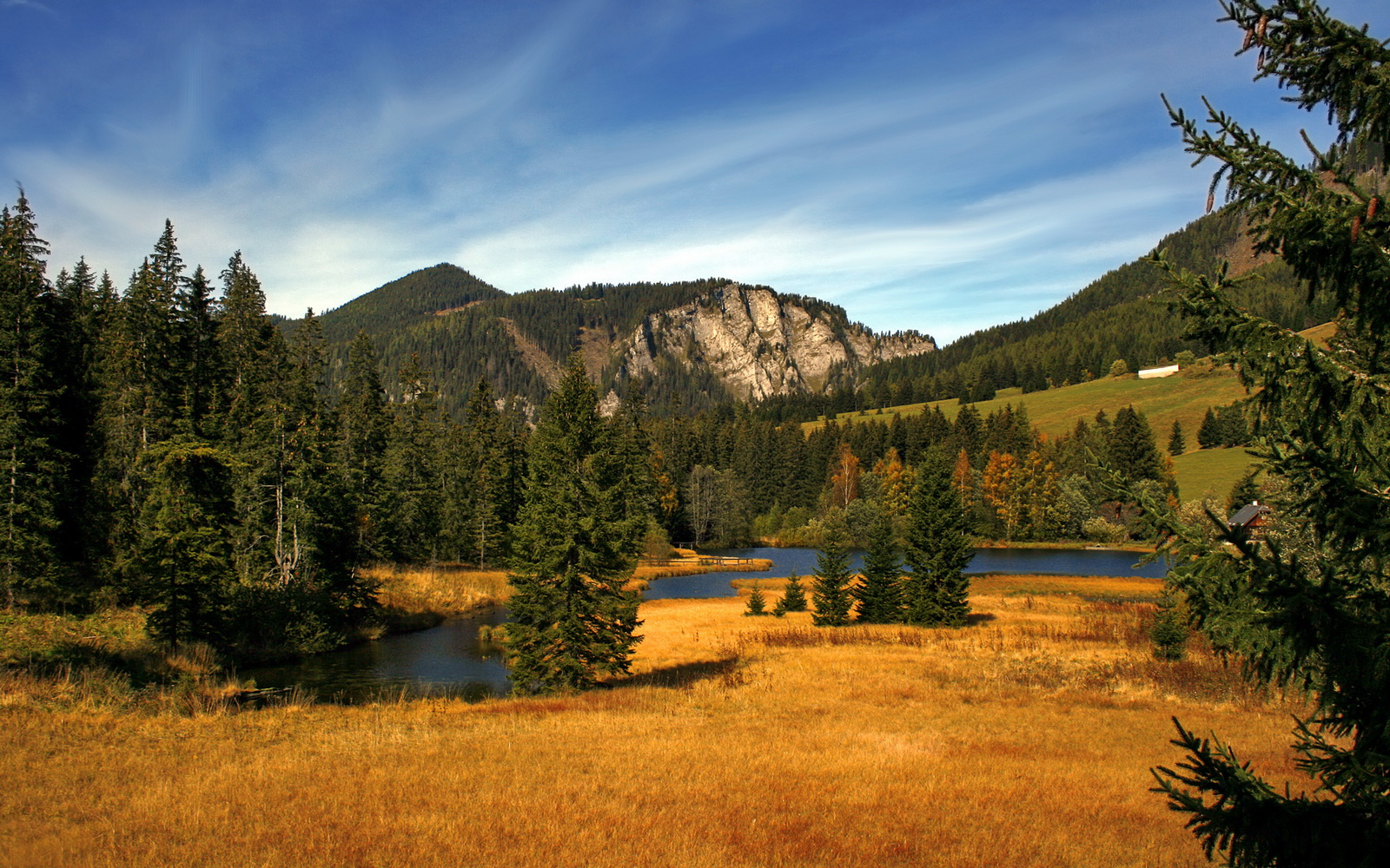 篮网收割北京队，世界排名争夺战的焦点之战